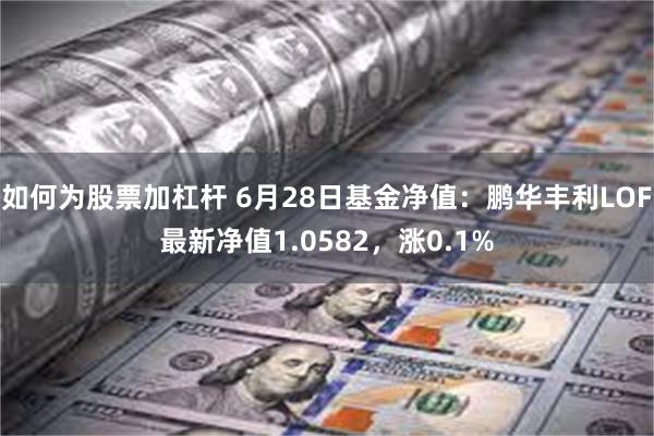 如何为股票加杠杆 6月28日基金净值：鹏华丰利LOF最新净值1.0582，涨0.1%
