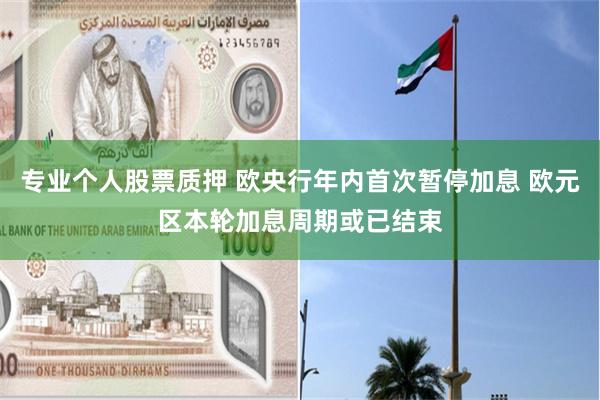 专业个人股票质押 欧央行年内首次暂停加息 欧元区本轮加息周期或已结束
