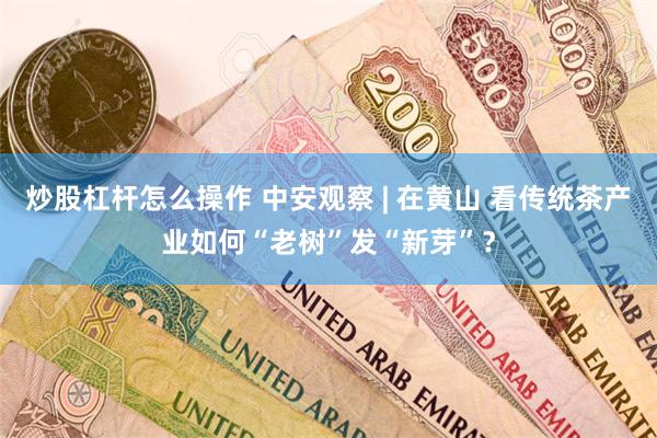 炒股杠杆怎么操作 中安观察 | 在黄山 看传统茶产业如何“老树”发“新芽”？