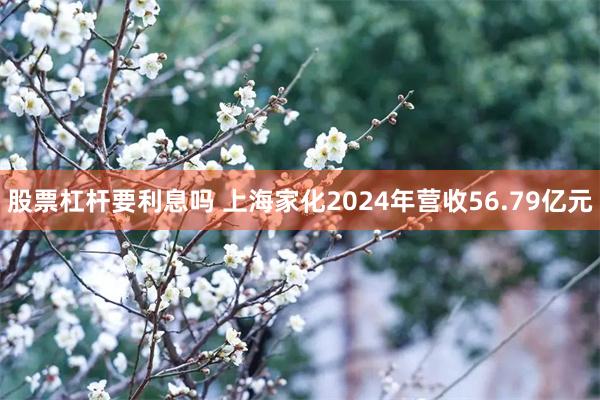 股票杠杆要利息吗 上海家化2024年营收56.79亿元