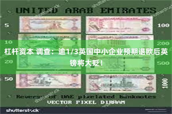 杠杆资本 调查：逾1/3英国中小企业预期退欧后英镑将大贬！