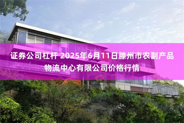 证券公司杠杆 2025年6月11日滕州市农副产品物流中心有限公司价格行情