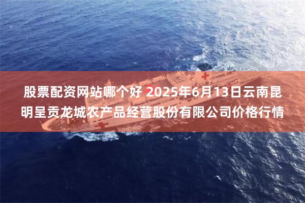 股票配资网站哪个好 2025年6月13日云南昆明呈贡龙城农产品经营股份有限公司价格行情