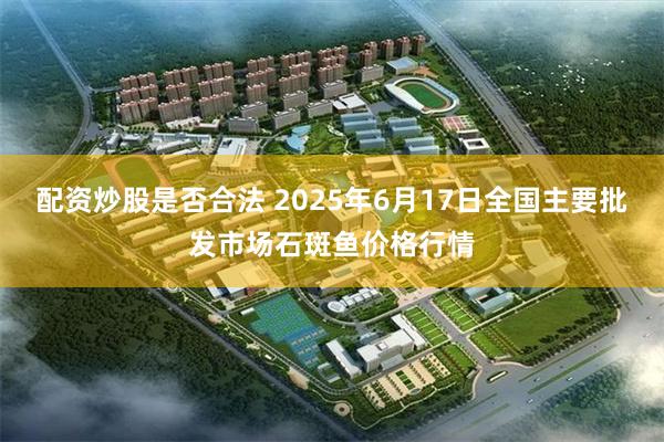 配资炒股是否合法 2025年6月17日全国主要批发市场石斑鱼价格行情