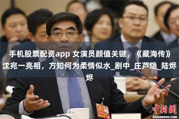 手机股票配资app 女演员颜值关键，《藏海传》沈宛一亮相，方知何为柔情似水_剧中_庄芦隐_陆烬