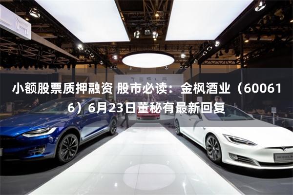 小额股票质押融资 股市必读：金枫酒业（600616）6月23日董秘有最新回复