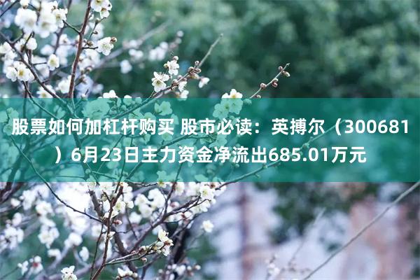 股票如何加杠杆购买 股市必读：英搏尔（300681）6月23日主力资金净流出685.01万元