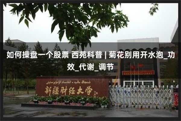 如何操盘一个股票 西苑科普 | 菊花别用开水泡_功效_代谢_调节