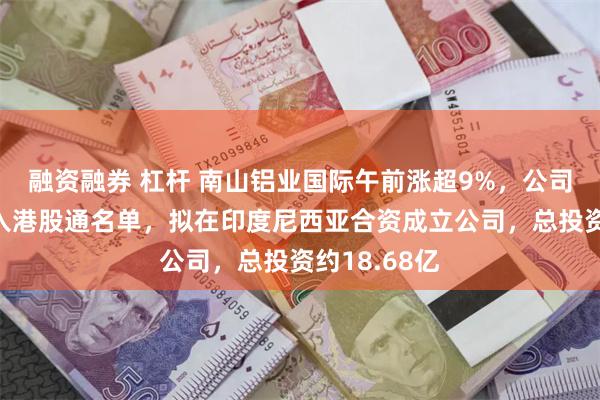 融资融券 杠杆 南山铝业国际午前涨超9%，公司9月有望进入港股通名单，拟在印度尼西亚合资成立公司，总投资约18.68亿