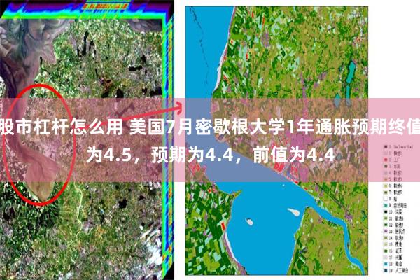 股市杠杆怎么用 美国7月密歇根大学1年通胀预期终值为4.5，预期为4.4，前值为4.4
