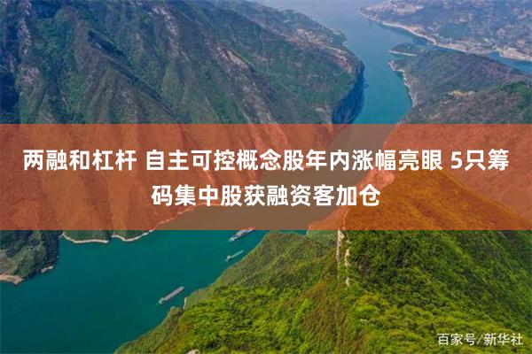 两融和杠杆 自主可控概念股年内涨幅亮眼 5只筹码集中股获融资客加仓