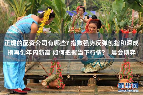 正规的配资公司有哪些? 指数强势反弹创指和深成指再创年内新高 如何把握当下行情?｜晨会博弈